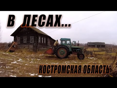 Видео: Заброшенные, и не очень, ДЕРЕВНИ Костромской области