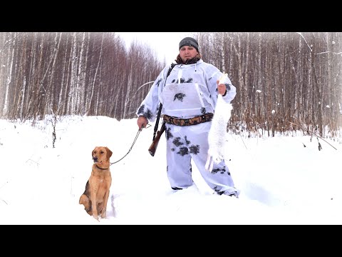 Видео: Охота на зайца с гончими. Подборка успешных выстрелов и добытые трофеи.
