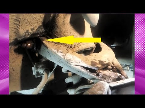 Видео: ЗАМЕНА САЙЛЕНТБЛОКОВ ВЕРХНИХ РЫЧАГОВ ВАЗ 2101 07 REPLACEMENT OF CYLENT BLOCKS OF VAZ TOP LEVERS