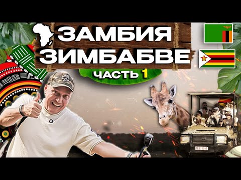 Видео: ЗАМБИЯ это где живут Зомби ??