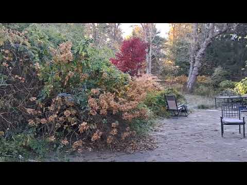 Видео: Астрология 7 ноября 2025 года: Уран возвращается в Телец...