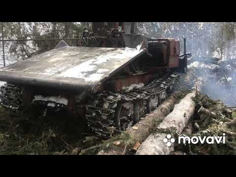 Видео: Уезжаем из делянки. Не вошедшие моменты как  ТдТ-55 разулся