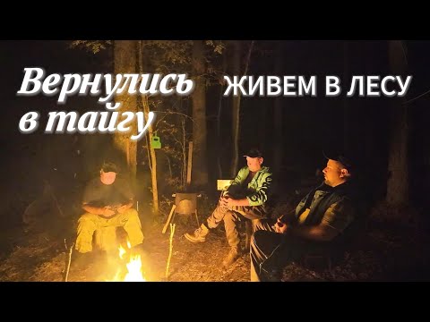 Видео: Выживание в Тайге: Трое в Лодке, не считая Щуки | Часть 2