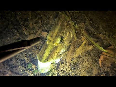 Видео: Октябрь. Отличное начало отпуска