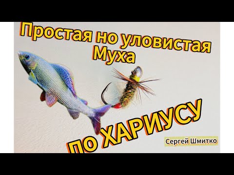 Видео: ❗️💯простая и уловистая муха. На ХАРИУСА. #рыбалка #2024 #мушкинахариуса