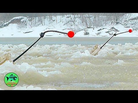 Видео: НАКОНЕЦ -ТО ОНА ГНЕТ ВЕРТОЛЕТЫ. Зимняя рыбалка 2023. Западная Двина