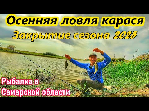 Видео: ОСЕННЯЯ ЛОВЛЯ КАРАСЯ/РЫБАЛКА В САМАРСКОЙ ОБЛАСТИ/ФИДЕР