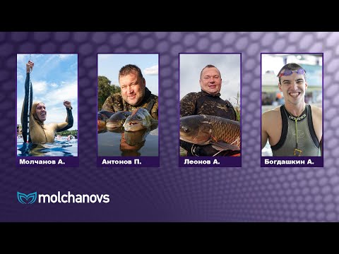 Видео: Что общего у фридайвера и подводного охотника: Молчанов, Антонов, Леонов, Богдашкин