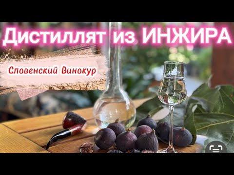 Видео: Дистиллят из Инжира