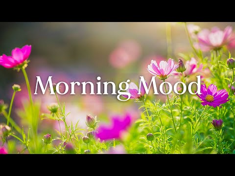 Видео: У вас был трудный день? 🌿Вместе завтра будет лучше! - Утреннее настроение #7