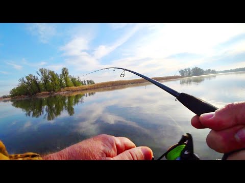 Видео: ОГО, Как ГНЁТ!...от этих поклёвок ПОСЛЕ НЕРЕСТА ЖОР С РУСЛА рыбалка на судака/Катушка тоже в хлам