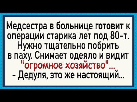 Видео: Дедуля с хозяйством до колен! Сборник свежих анекдотов!