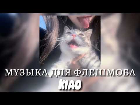 Видео: музыка для флешмоба😽