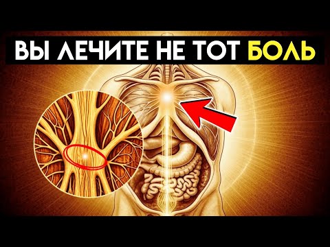 Видео: 12 миофасциальных меридианов — почему ваша боль не там, где вы думаете