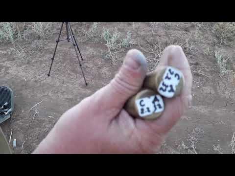 Видео: 06.09.21 Произвел отстрел патронов 12 кал через хрон на скорость на пластиковых и латунных гильзах!!