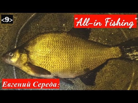 Видео: Вот что помогло мне наловить больших лещей. "All-in Fishing". Вып. 9.