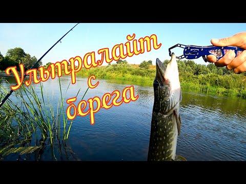 Видео: Рыбалка с берега на ультралайт спиннинг. Малая река