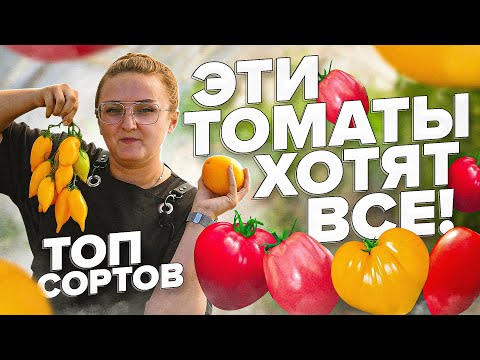 Видео: ТОП ТОМАТОВ от #СеменаАлтая. ЦЫПОЧКА, НАСТЕНЬКА, КУЛЕМА, СТЕРЛЯДЬ, ЙЕТИНА МАТЬ и другие