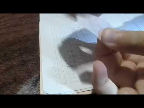 Видео: 1 октября 2025 г.