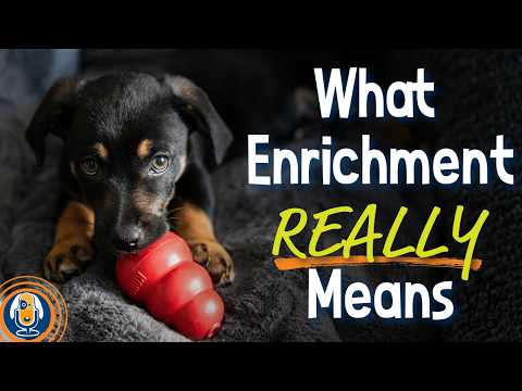 Видео: Секреты обогащения среды обитания собак. Часть 1: использование природных инстинктов вашей собаки...