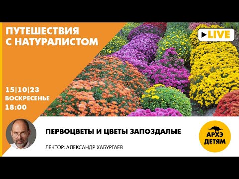 Видео: Детский эфир "Первоцветы и цветы запоздалые" // Путешествия с натуралистом // Александр Хабургаев