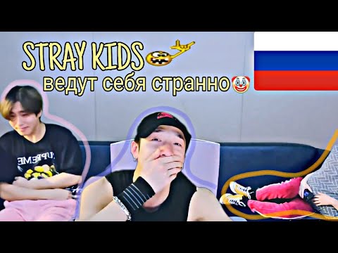 Видео: Stray Kids ведут себя странно | RUS CRACK | STRAY KIDS FUNNY MOMENTS