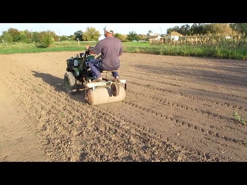 Видео: Горчица для удобрения огорода!
