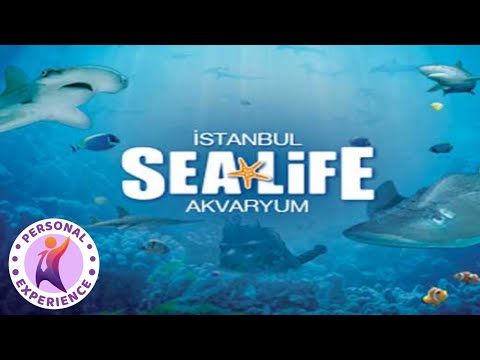 Видео: Аквариум Sea Life Istanbul 🇹🇷 Forum / полный обзор /4К