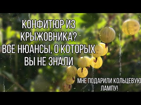 Видео: КОНФИТЮР ИЗ КРЫЖОВНИКА и вся правда об АГАР-АГАРЕ [перезалив]