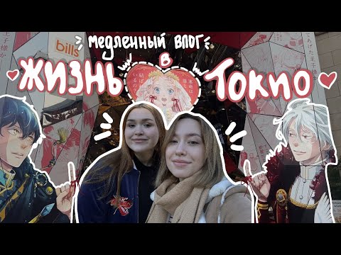 Видео: БУДНИ В ЯПОНИИ: осень в Токио, Харадзюку и храм Мейдзи