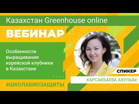 Видео: Особенности выращивания корейской клубники в Казахстане. Карсакбаева Аяулым.