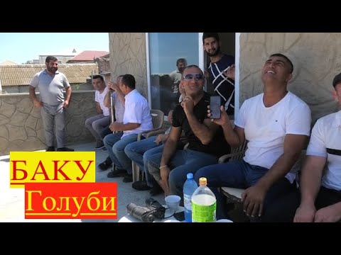 Видео: Бакинские голуби Мяжнуна в Баку!
