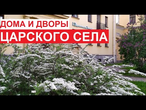 Видео: Дома и дворы Царского Села (г.Пушкин). Ч.1 Центр | Пушкинский район Петербурга | июнь 2022
