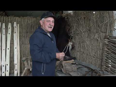Видео: 21 07 2024 Традиционная адыгская культура хр 29 мин 51сек