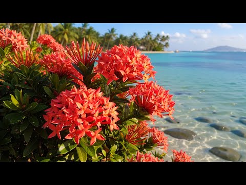 Видео: Когда музыка лечит душу 🌿 | Лучшие мелодии Сергея Грищука