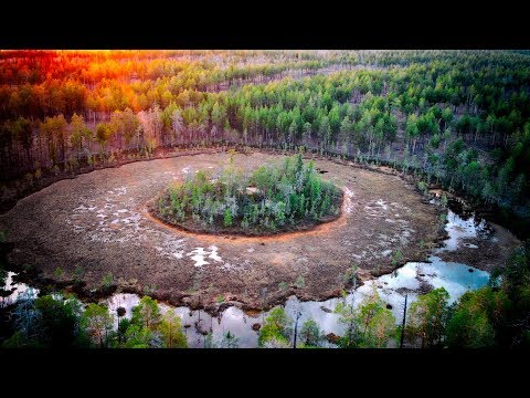 Видео: Ночное зрение по следам таежных зверей, 11 серия