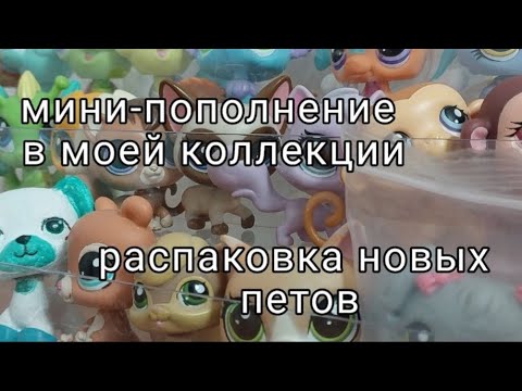 Видео: распаковка LPS | LPS | распаковка | Littlest pet shop | лпс