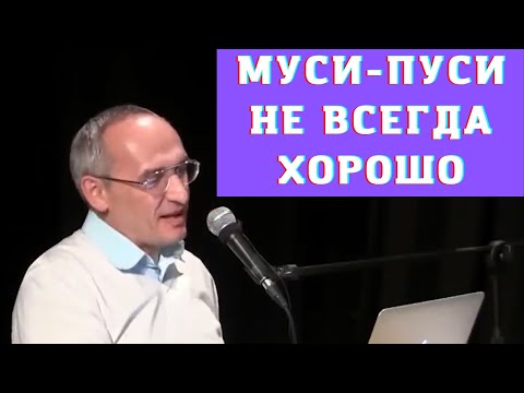 Видео: Муси-пуси не всегда хорошо
