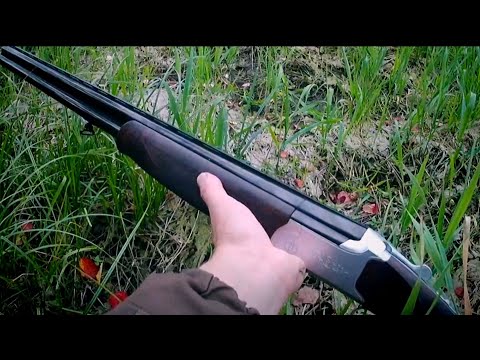 Видео: За уткой с CZ MALLARD GEN 2 - осенняя охота.