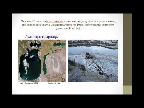 Видео: Қоршаған ортаны ұтымды пайдалану принциптері