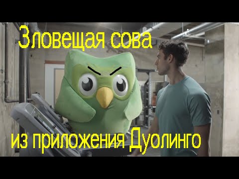 Видео: ДУОЛИНГО Обзор Нового мема Зловещая Сова