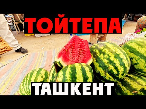 Видео: 🍜 Ташкент | ТОЙТЕПА и НУРАФШАН | Давленное КУКСИ в Настоящем КОРЕЙСКОМ КАФЕ! 🇰🇷🇺🇿