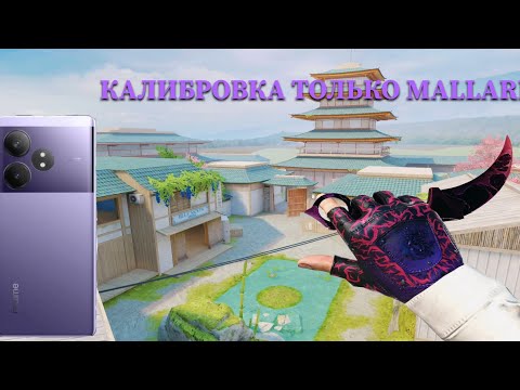 Видео: Новый сет Universe royal rouse новая карта hanami новое оружие mallard #realmegt6 #standoff2 #элита 