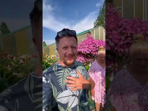 Видео: 21 августа 2025 г.