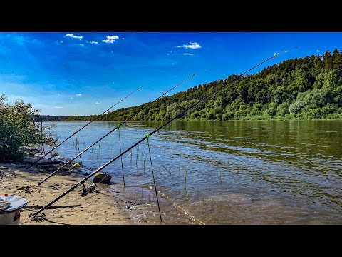 Видео: РЫБАЛКА С НОЧЕВКОЙ НА ОКЕ. ЛОВЛЯ НА КУРДЮЧНОЕ САЛО. ЗАКИДУШКИ НА ЛЕЩА. НАШЁЛ ФАНТАСТИЧЕСКОЕ МЕСТО!