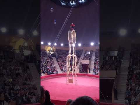 Видео: Цирк..... номер петля смерти