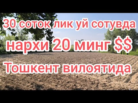 Видео: Арзон Уй сотилади ☎️☎️+998940580165☎️+77073889621