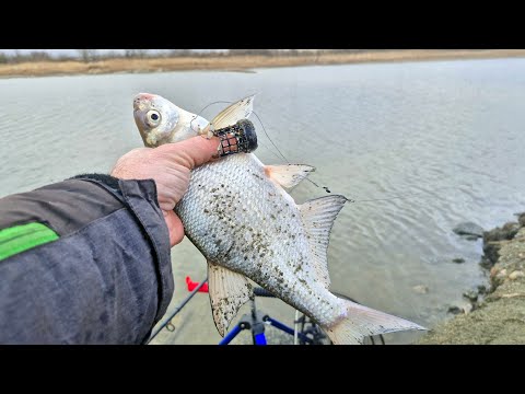 Видео: Открытие фидерного сезона 2025  Бердянское водохранилище