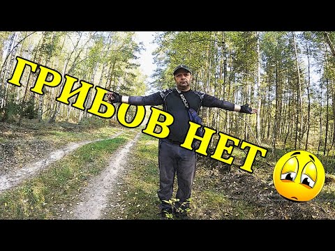 Видео: По грибы 2 #фэтбайк #поход #грибы