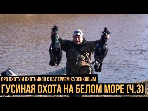 Видео: Гусиная охота на Белом море (3 серия)  / Про охоту и охотников с Валерием Кузенковым. Сезон 1